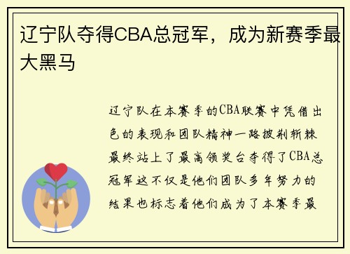 辽宁队夺得CBA总冠军,成为新赛季最大黑马 辽宁队夺得CBA总冠军,成为新赛季最大黑马